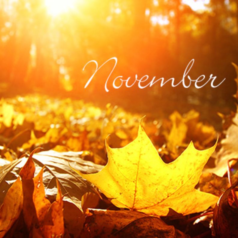 توقّعات الأبراج لشهر نوفمبر 2018