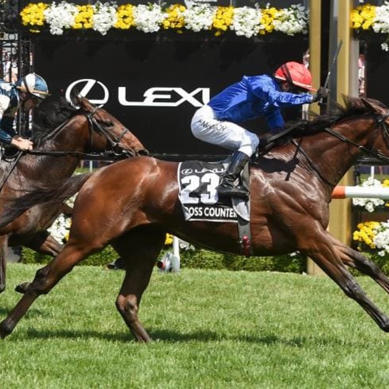 كروس كاونتر 