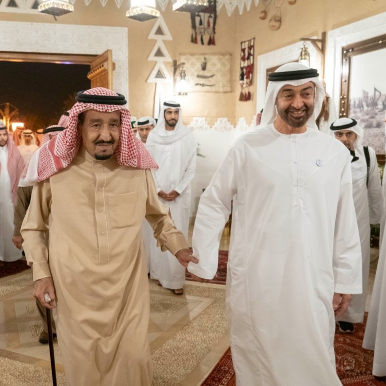 الملك سلمان بن عبدالعزيز والشيخ محمد بن زايد 