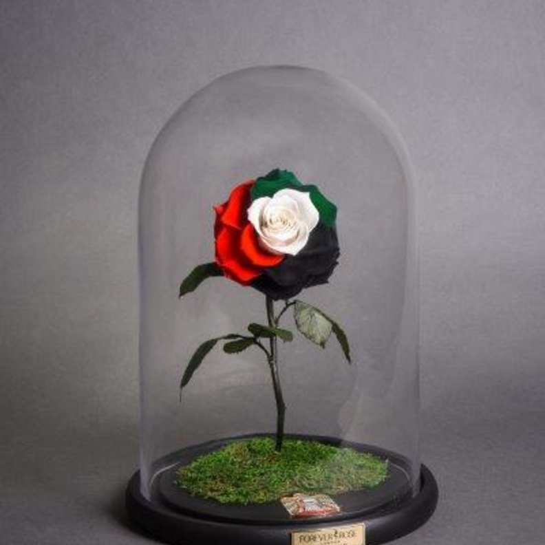 فوريفر روز تقدم تصاميم ورود خاصة بمناسبة اليوم الوطني الإماراتي