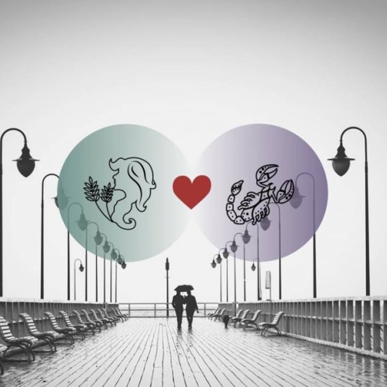 يشكّل مولود برج العذراء مع مولود برج العقرب ثنائياً مميزاً ومتفاهماً في الزواج