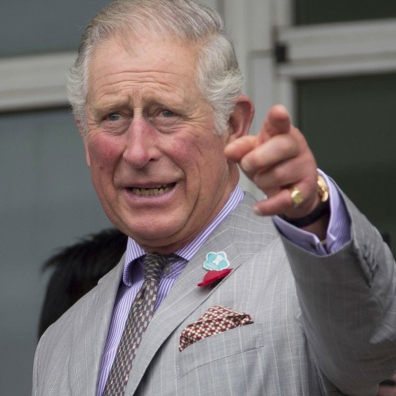  الأمير تشارلز يجيد العزف على الآلات الموسيقية التشيلو والبوق والبيانو