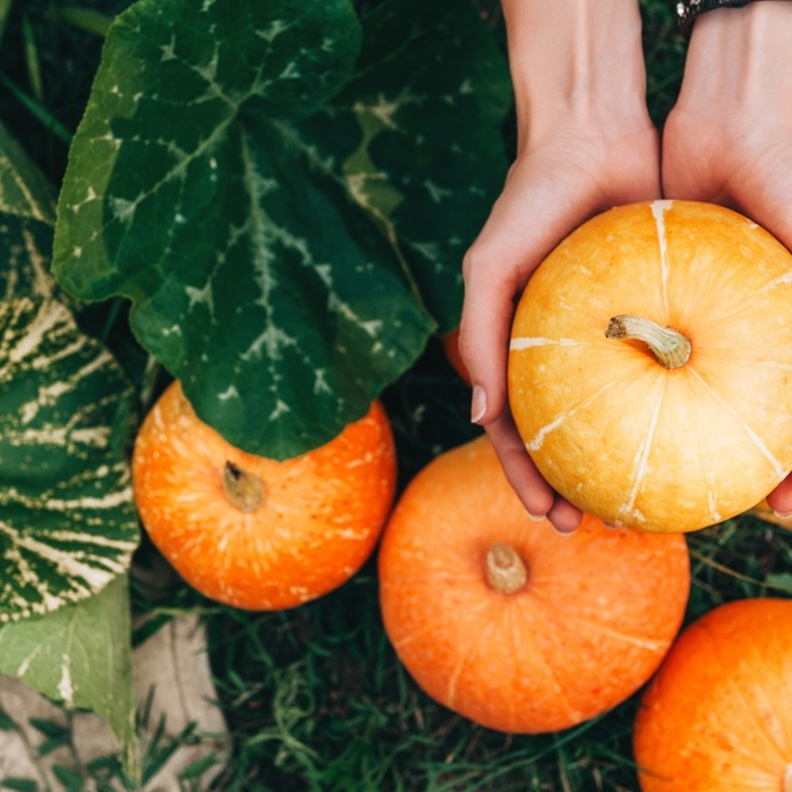  فوائد اليقطين للصحة والجمال