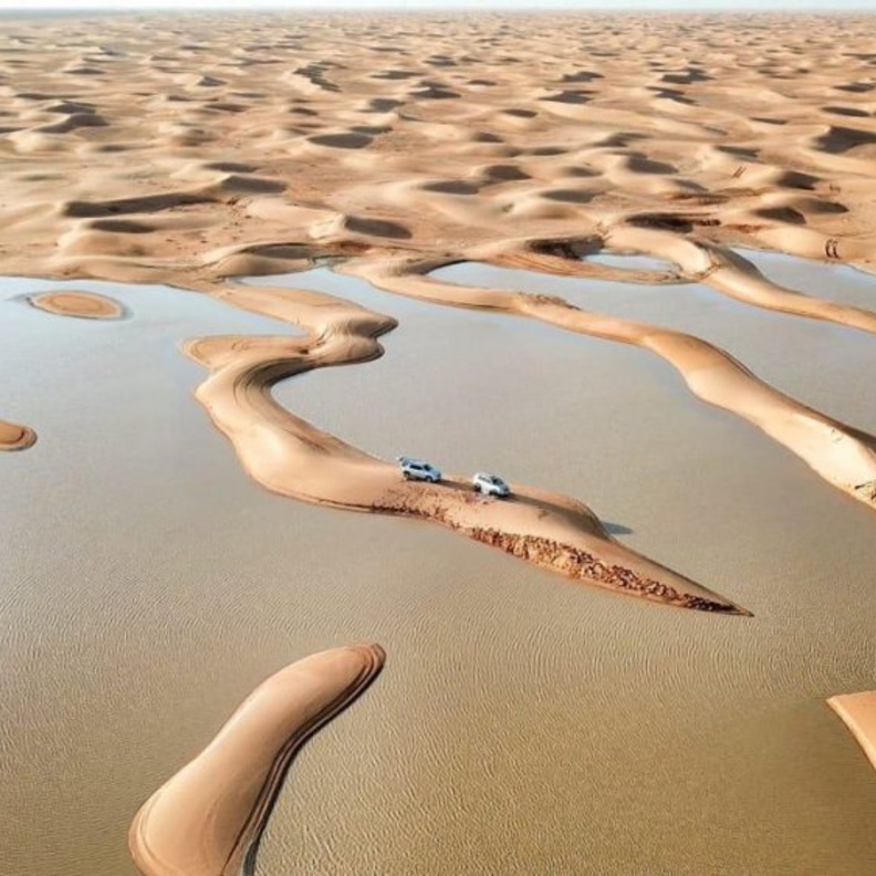 الأمطار تجذب الزوار في صحراء الدهناء