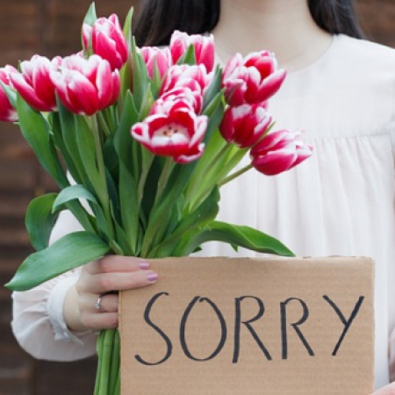 كيف تتقن الزوجة فن الاعتذار للزوج
