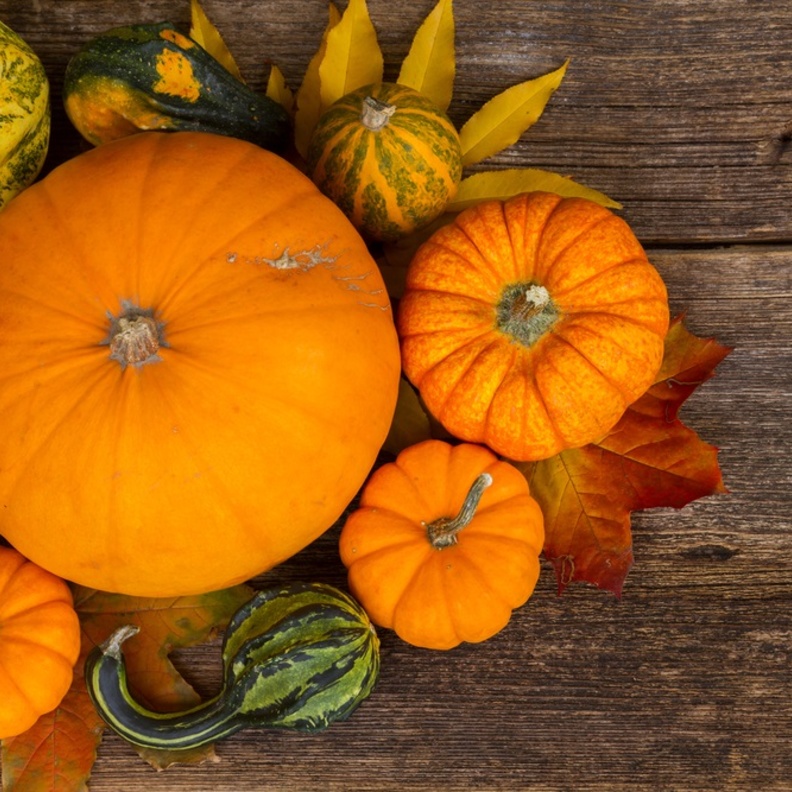 تناول اليقطين يحمي من تصلب الشرايين