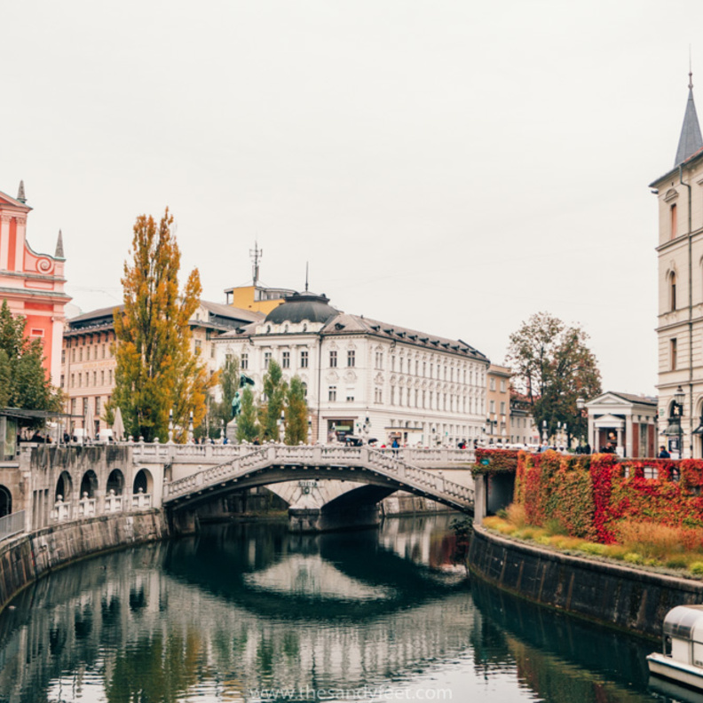 جمال فريد في ليوبليانا