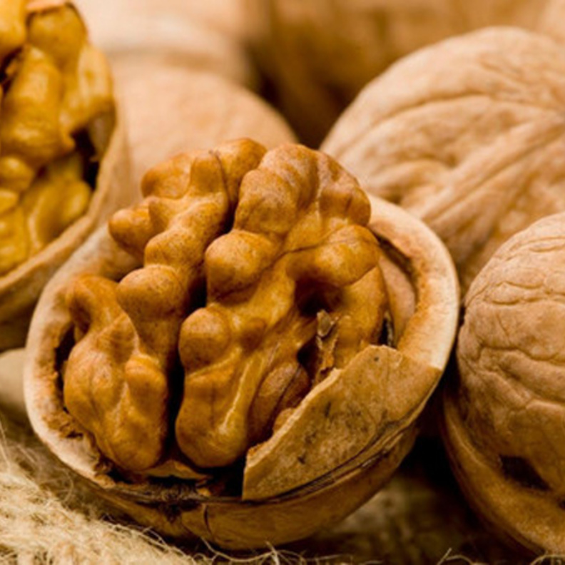 الجوز يعزز صحة الجسم