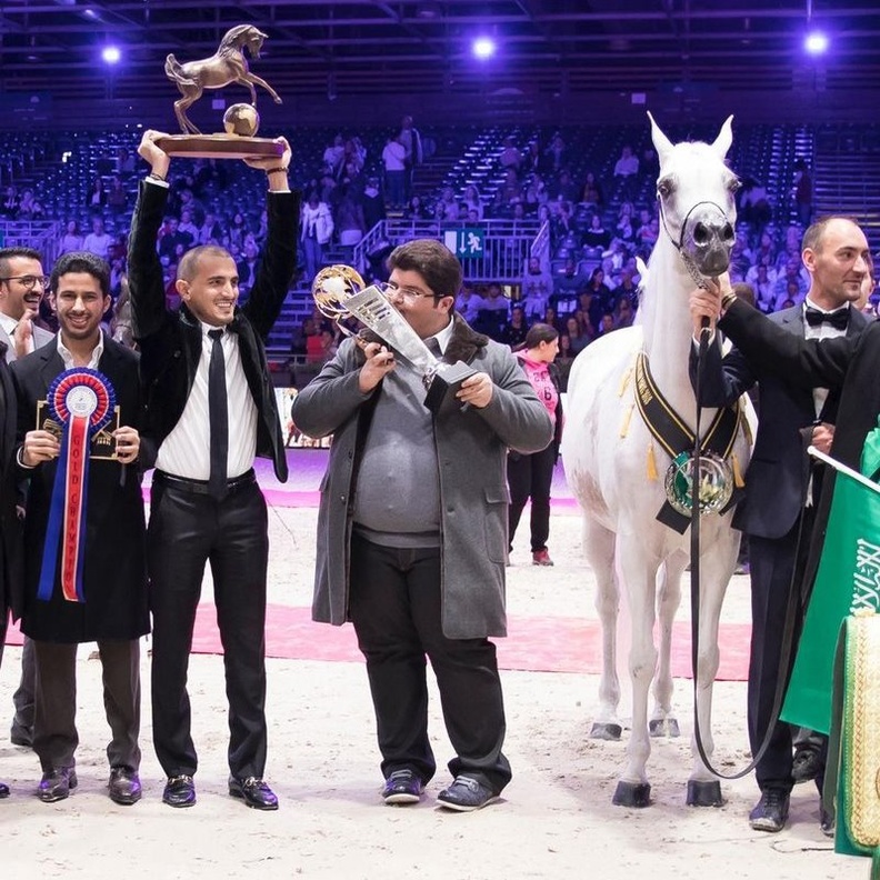 اعلان فوز الأمير عبدالمجيد في ختام البطولة