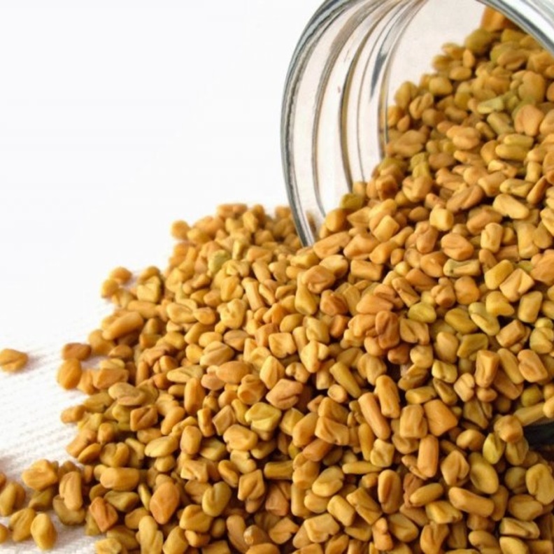 الحلبة تعزز صحة المعدة وتقيه من الأمراض