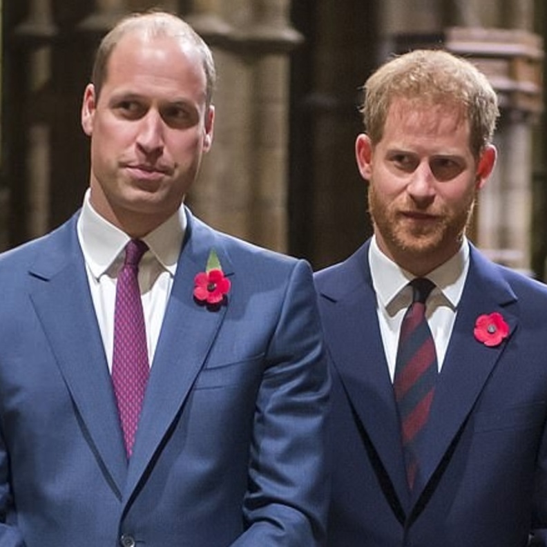 الأمير تشارلز تدخل لتدارك الجفوة بين ولديه