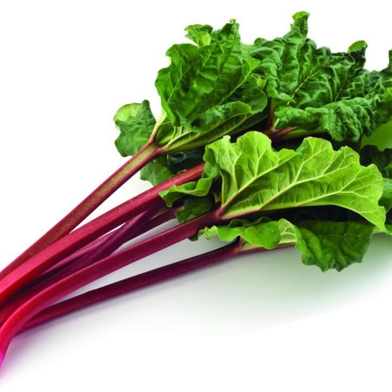 عشبة الراوند تعزز صحة الجسم