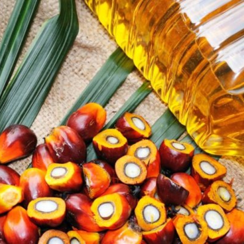 زيت النخيل يعزز مناعة الجسم