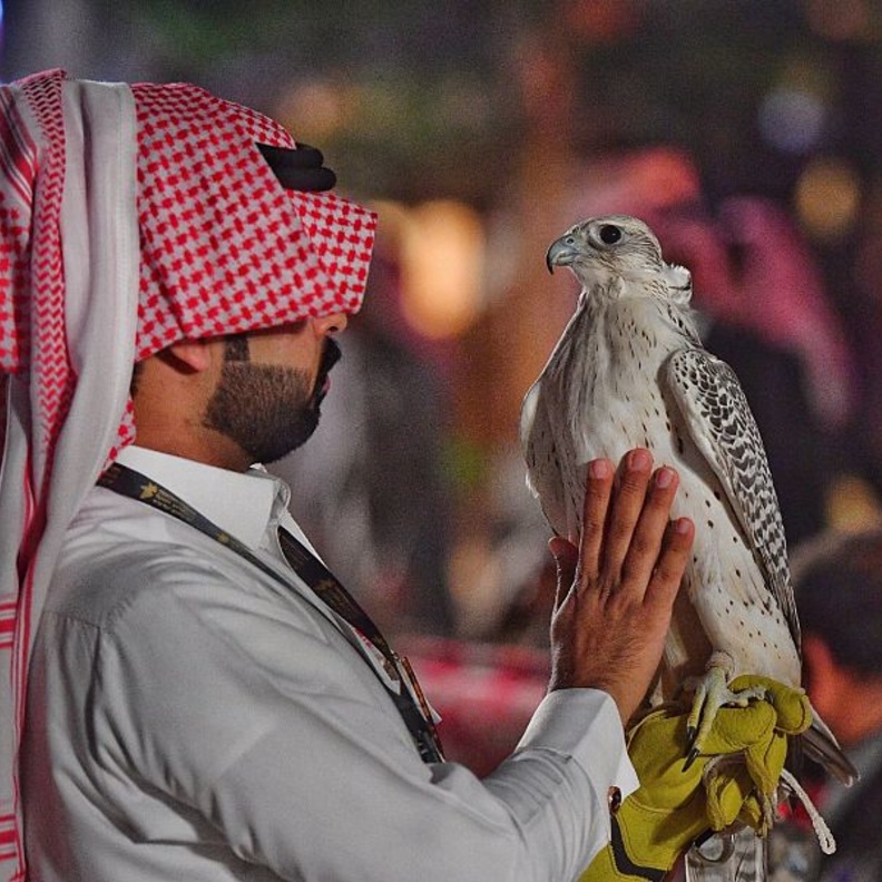 الاطفال في معرض الصقور والصيد
