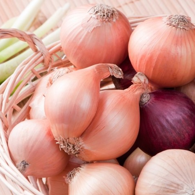  البصل يحمي العيون من مضاعفات السكري