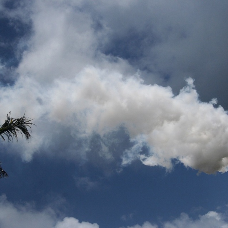 أرتفاع نسبة الكربون في الهواء يسبب الأمراض