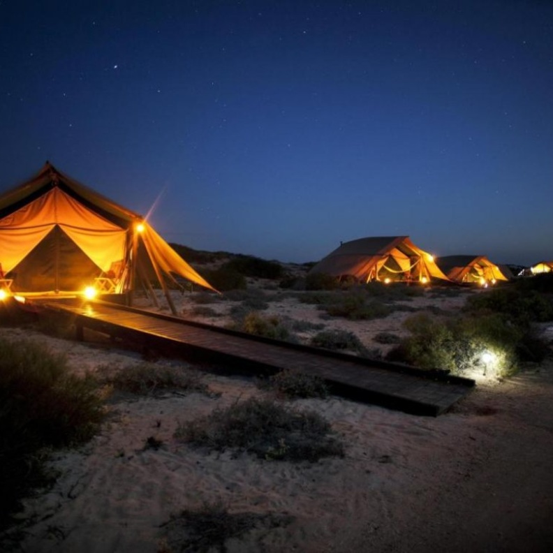 الدفاع المدني