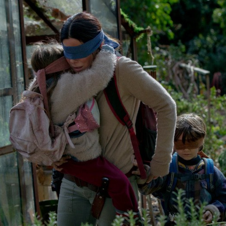 bird box