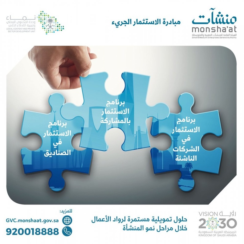 مبادرة الاستثمار الجريء