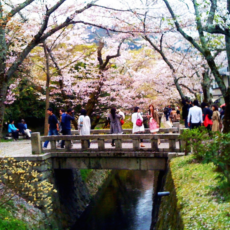 الجناح الذهبي