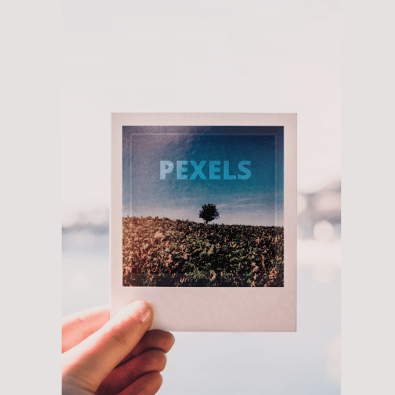 Pexels..تطبيق مميز لأخذ الصور الفوتوغرافية و مشاركتها بدون حقوق ملكية