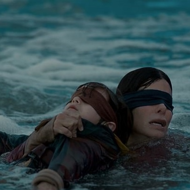 الكشف عن المشهد المرعب المحذوف من فيلم Bird Box..صور