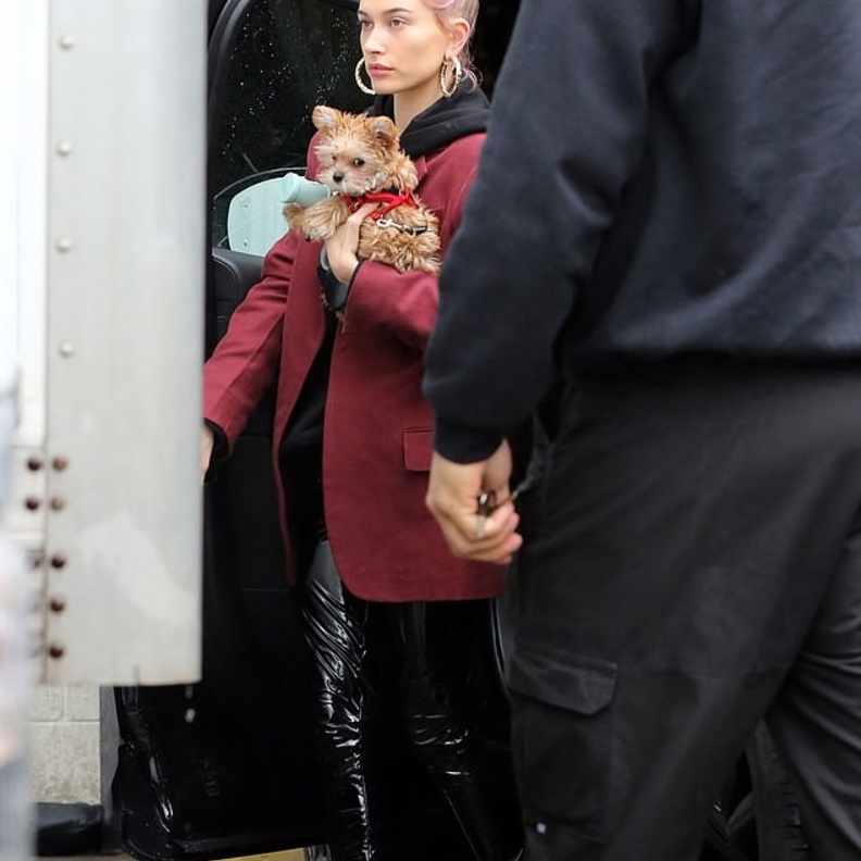 هايلي بالدوين