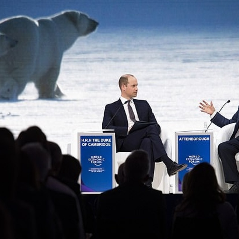  الأمير وليام في دور المحاور