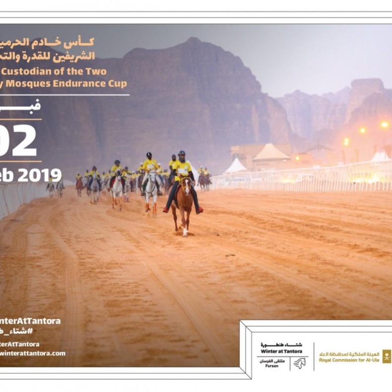 سباقات القدرة والتحمل على مهارة الفارس