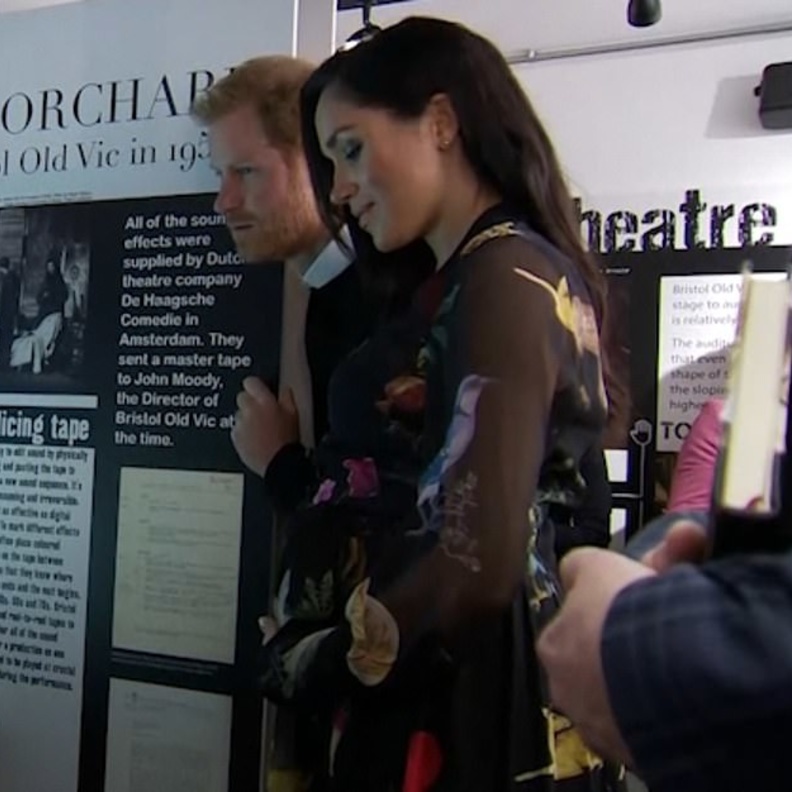 ميغان ماركل والأمير هاري