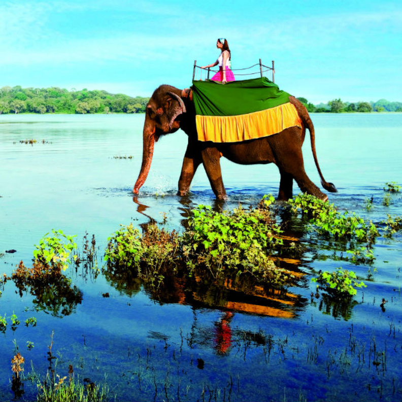 أفضل أوقات السفر الى سريلانكا