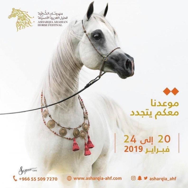 جانب من الحضور الاعلامي في المؤتمر الصحفي