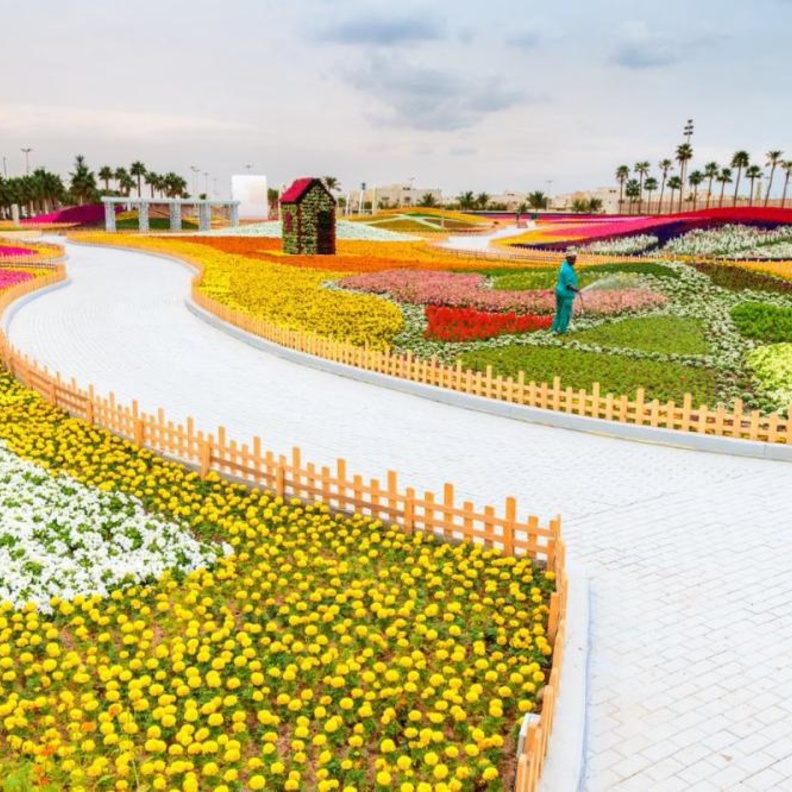 مهرجان الزهور والحدائق الذي تنظمه الهيئة الملكية بينبع