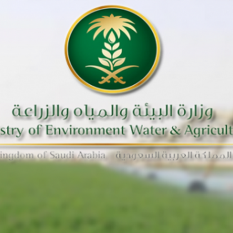 أعلنت وزارة البيئة عن توفر 100 وظيفة إدارية وفنية