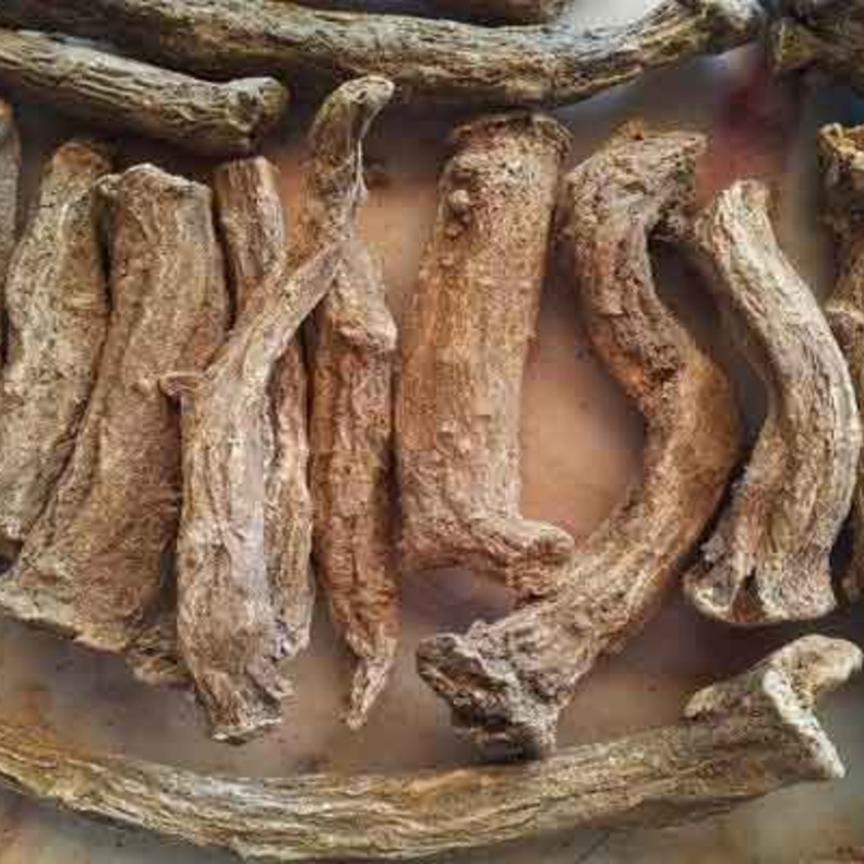 القسط الهندي فعال في علاج الغدة النخامية