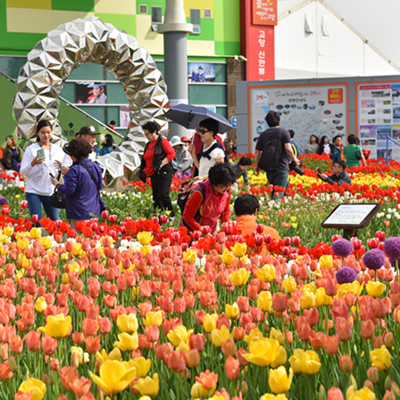 عروض فنية منوعة 