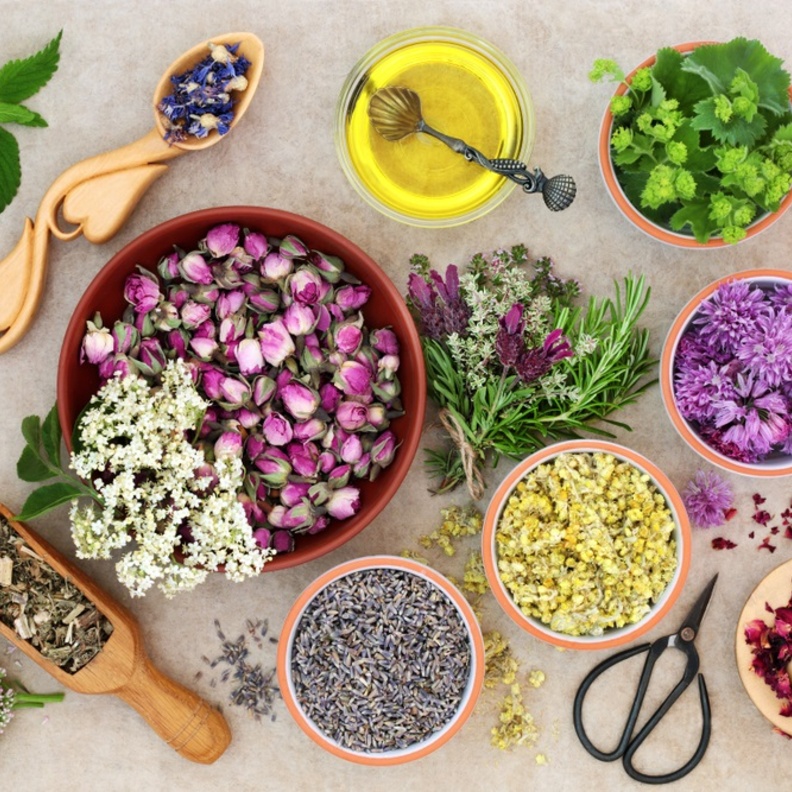 اضرار الاعشاب الطبية على الصحة