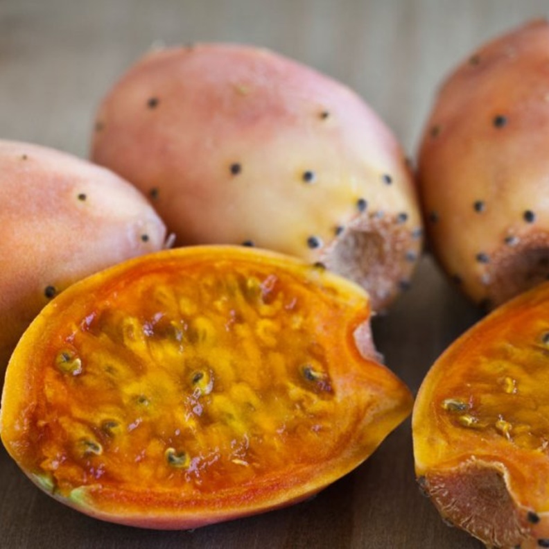 التين الشوكي يقاوم الجذور الحرة المسببة للسرطان