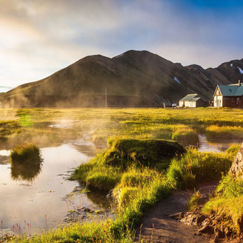 العربات التي تجرها الكلاب