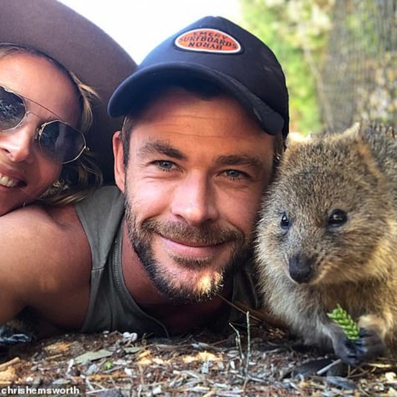 كريس هيمسورث