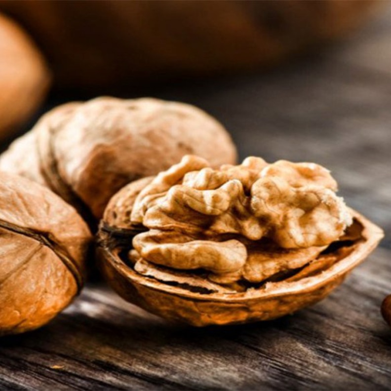 الجوز يعزز صحة الدماغ