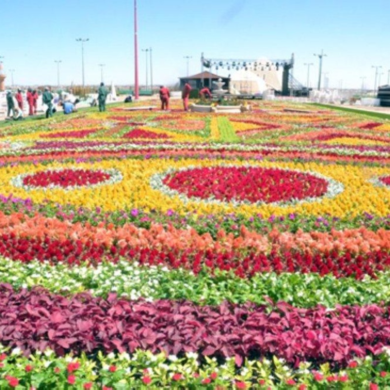 اليوم.. انطلاق مهرجان الورد الطائفي "15" بمنتزه الردف