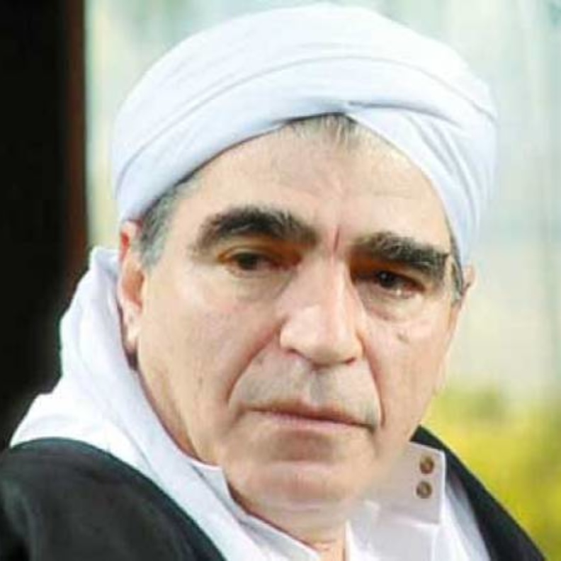 محمود الجندي