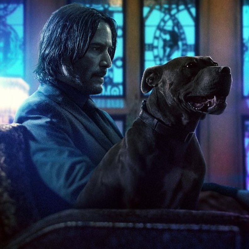 John Wick 3 :Parabellum