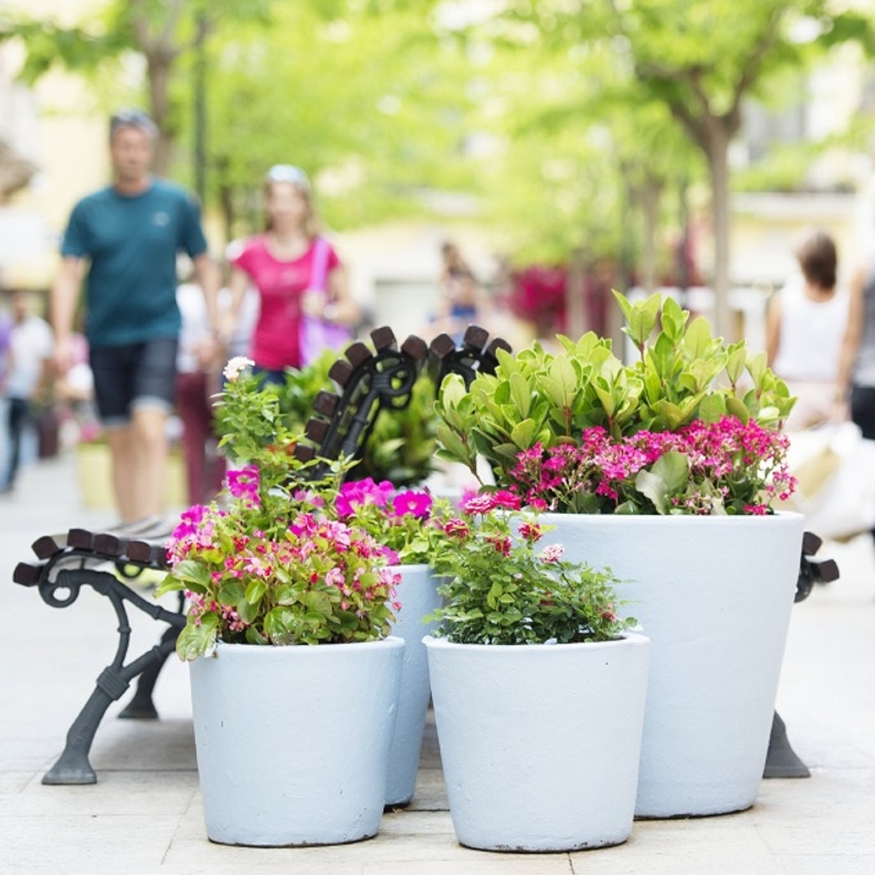  The Bicester Village Shopping Collection