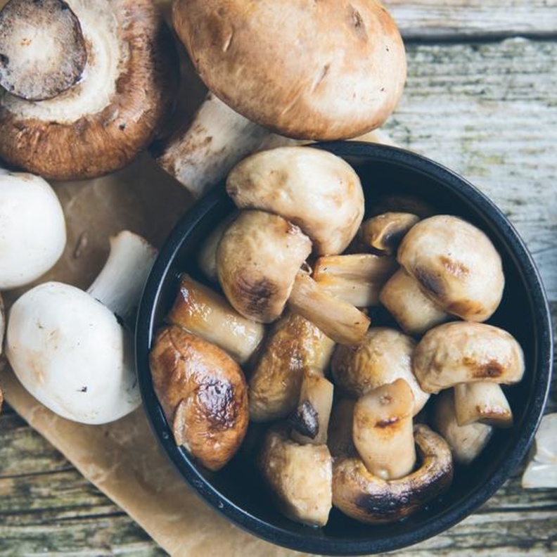 الفطر يعزز القدرات المعرفية