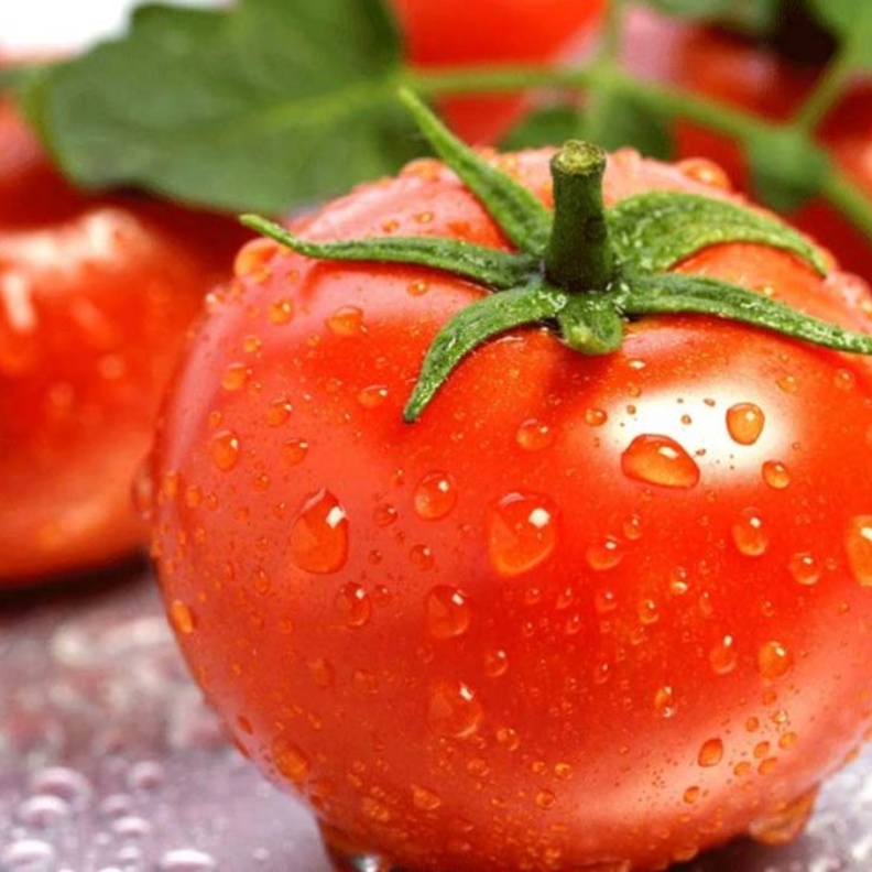 الطماطم تقي من تجلط الدم