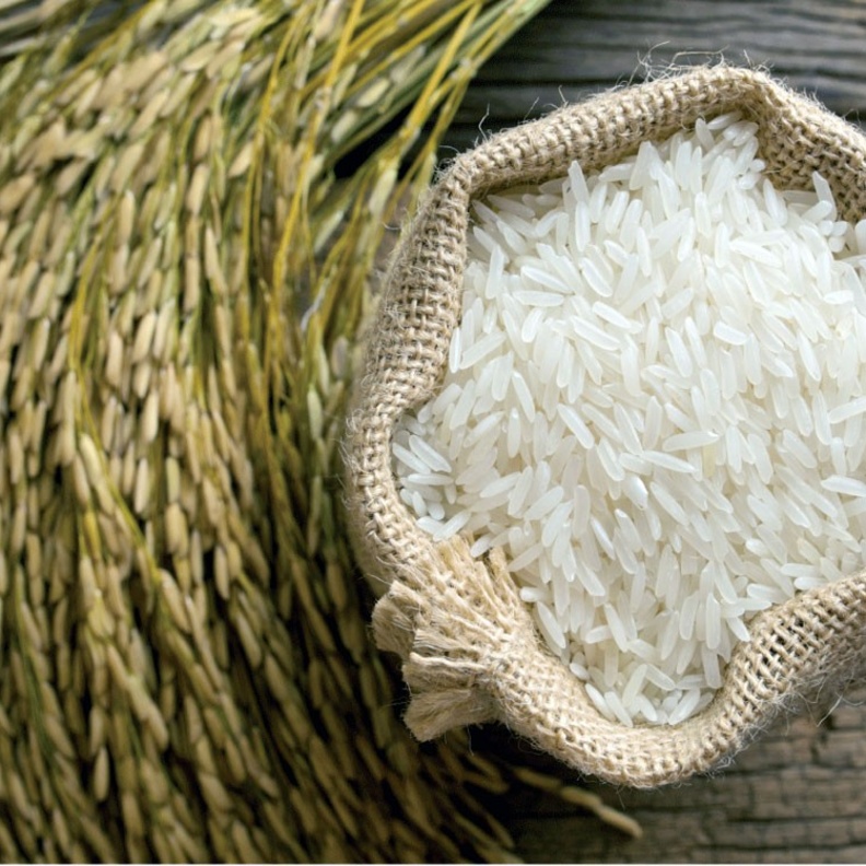 الأرز غني بالألياف التي تعزز الشعور بالشبع