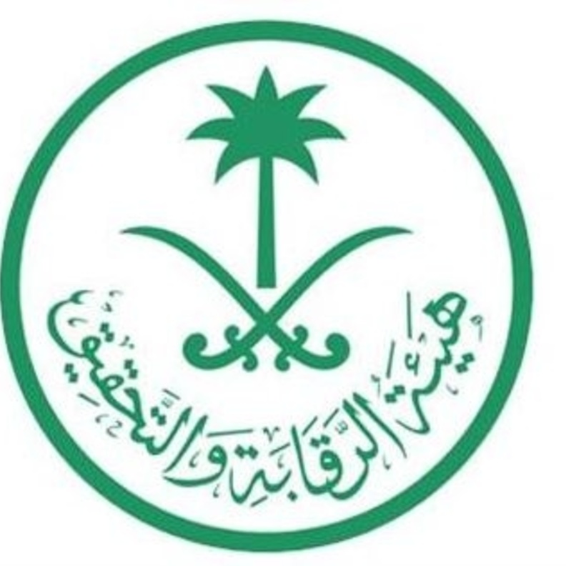 هيئة الرقابة والتخطيط