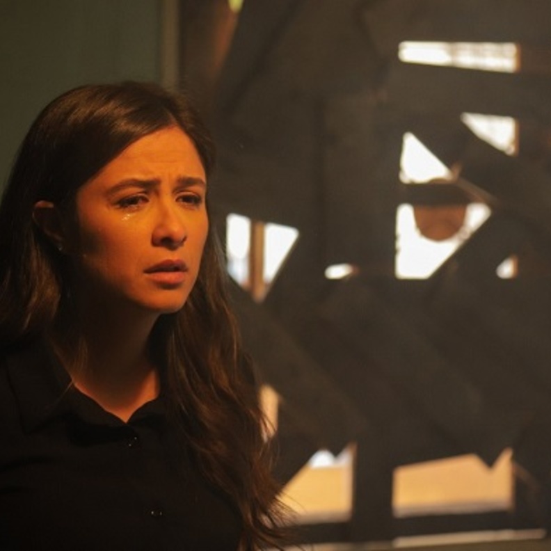 ياسمين عبد العزيز 